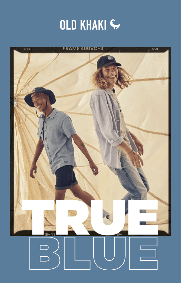 TRUE BLUE HEADER BANNER